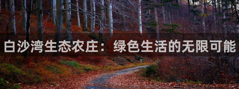 fh至尊游戏模式