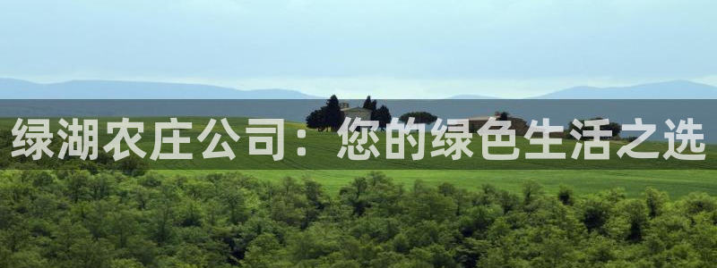 fh至尊游戏客服