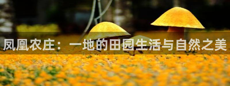 fh至尊app靠谱吗