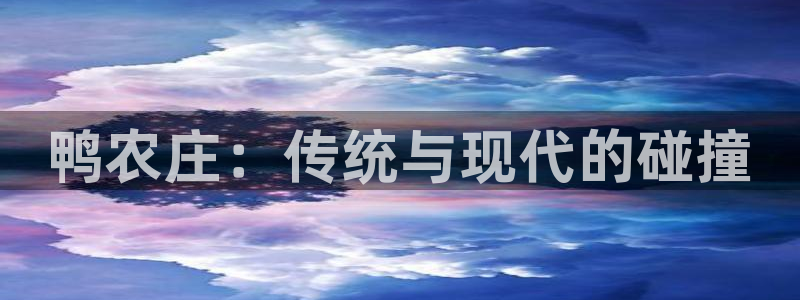 FH至尊隶属哪家公司