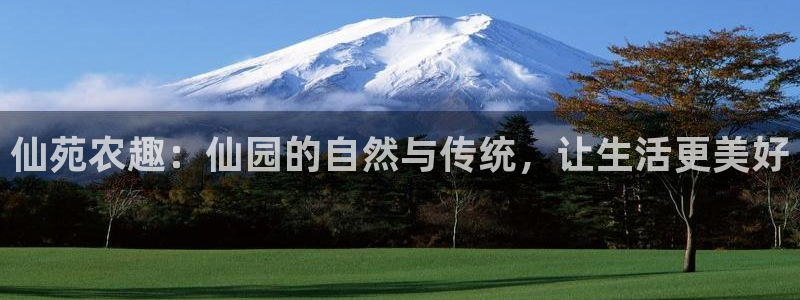 fh至尊普通登录