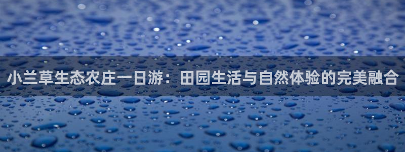 fh至尊平台多少年了