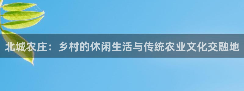 FH至尊是什么意思