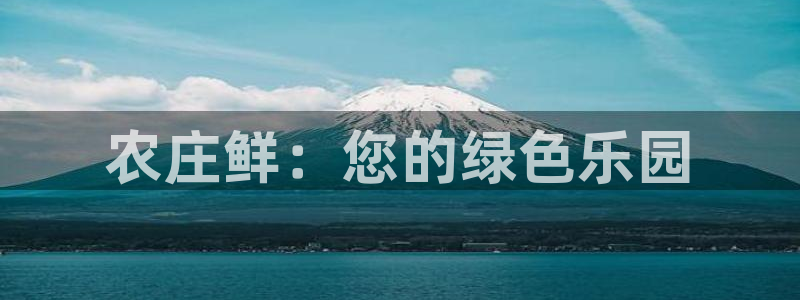 fh至尊怎么登录