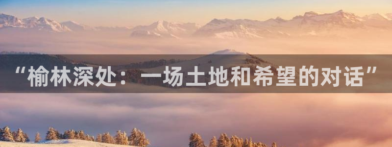 FH至尊隶属哪家公司