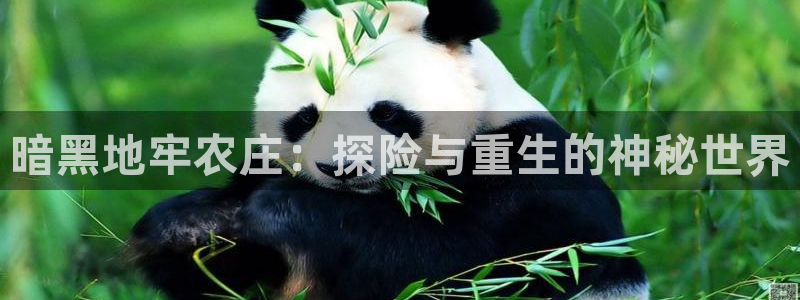 fh至尊平台坑人的原因