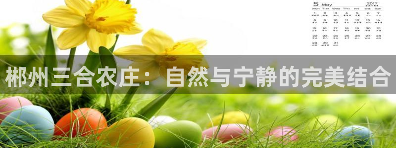 fh至尊平台黑吗