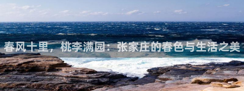 fh至尊是黑台子吗