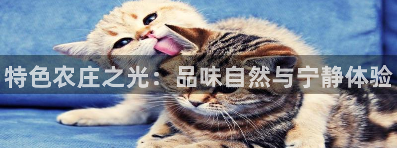 fh至尊是不是假的