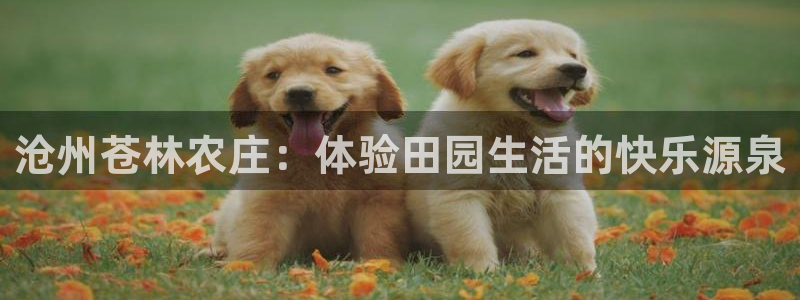 fh至尊凤凰是赌博